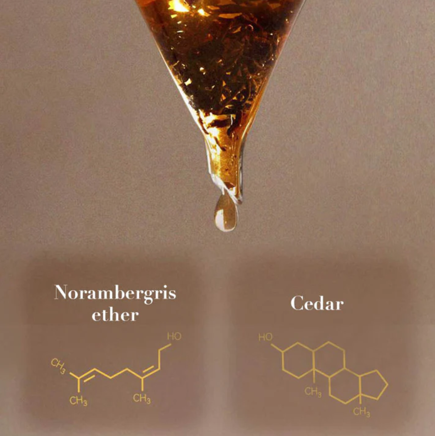 Night Rhapsody - Captivating and Long-Lasting Men's Perfume