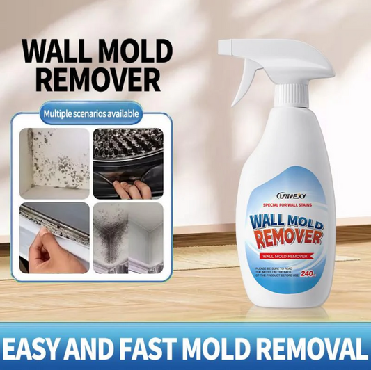 Fast Acting Anti-Mold Wall Cleaner Spray