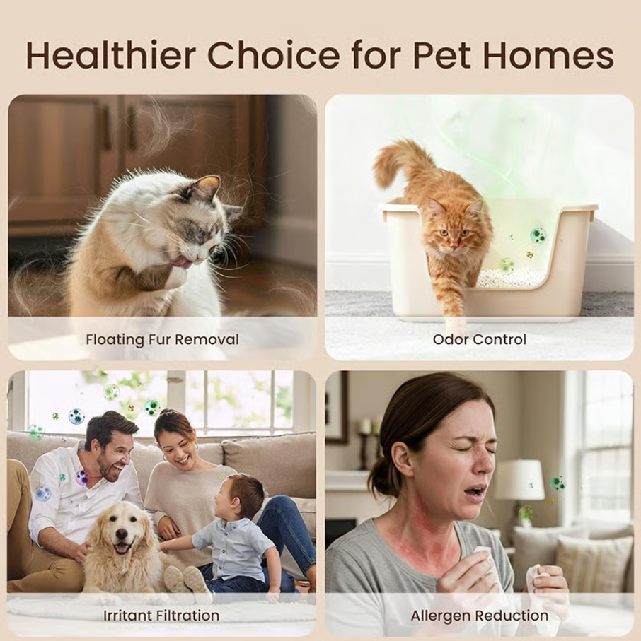 Home Pet Fur & Odor Removal Magic Box