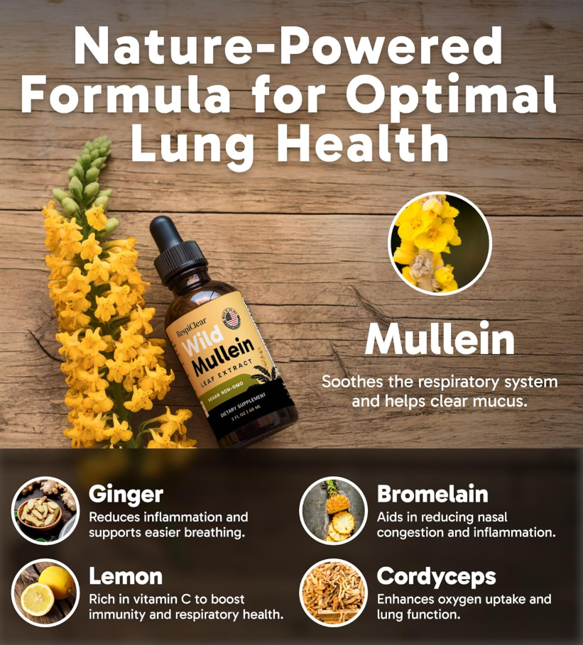 Wild Mullein Leaf Extract