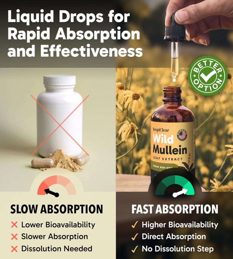 Wild Mullein Leaf Extract