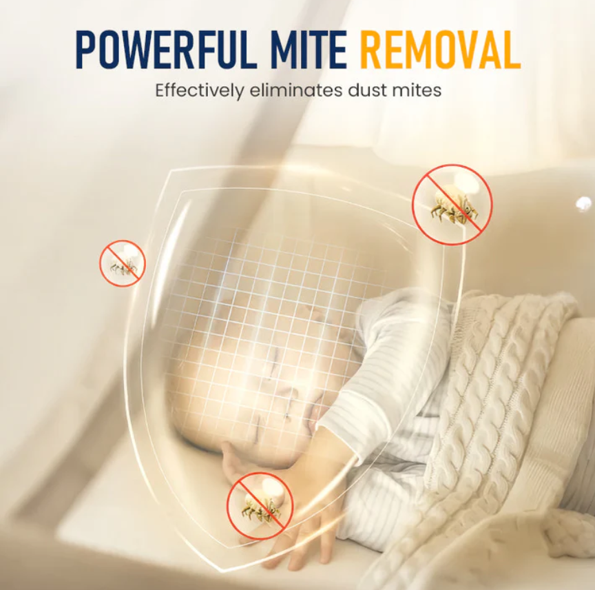 Dust Mite Remover for Home