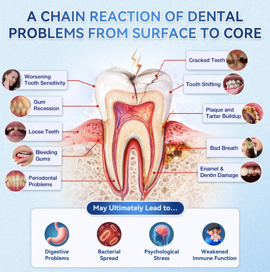 Fast‑Dissolving Tooth & Gum Repair Oral Strips