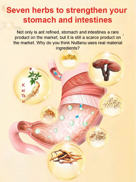 GastroEase Touch - Medical Antipyretic Gel