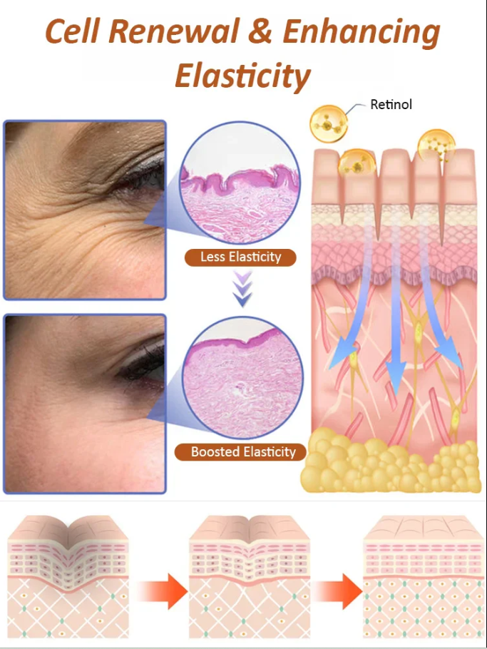 SXCS Anti-Wrinkle Eye Cream